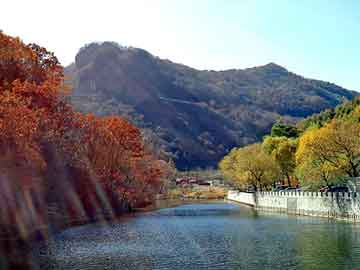 美股連創(chuàng)新高，華爾街警告！關(guān)稅大消息，馮德萊恩與特朗普即將面對面會談